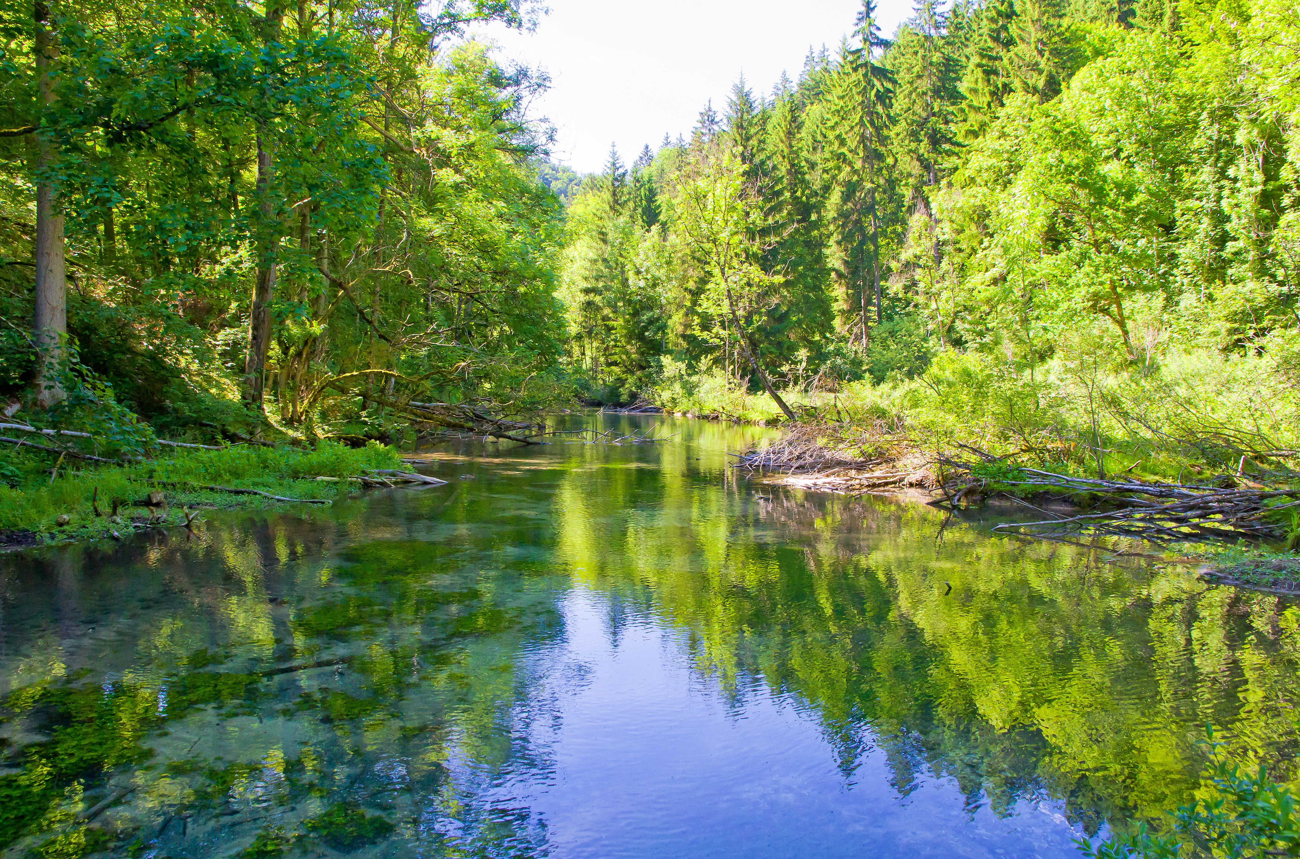 Das Messen des Säuregehalts in natürlichen Gewässern