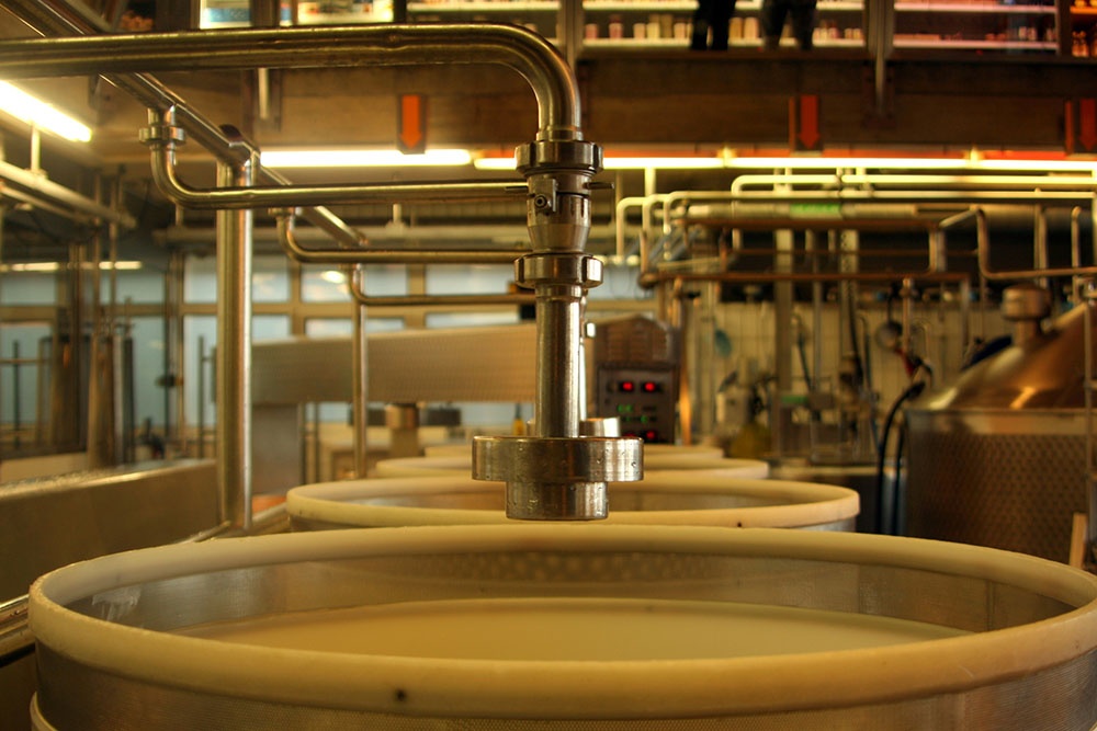 Die Bedeutung des pH-Werts bei der Käseproduktion